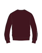 VIKINGS ICON PERFORMANCE CREW NECK PULLOVER (3 COLORS)