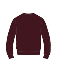 VIKINGS ICON PERFORMANCE CREW NECK PULLOVER (3 COLORS)