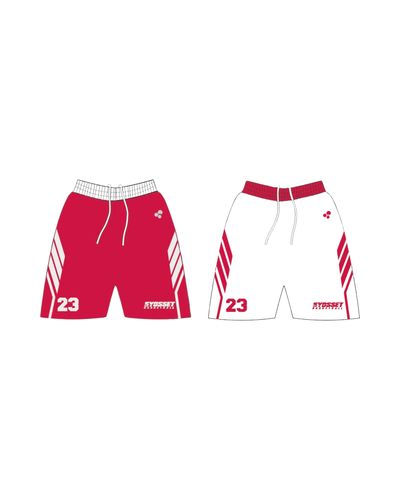 SYOSSET 11/12TH - TEAM WISCONSIN - REVERSIBLE BASKETBALL SHORT