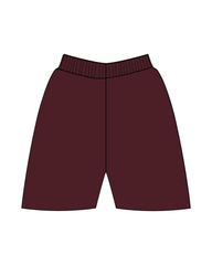 VIKINGS 4 WAY SHORTS ATHLETIC SHORTS (3 COLORS)