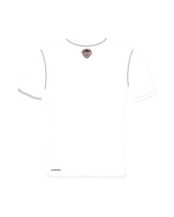 VIKINGS ICON PERFORMANCE TEE (3 COLORS)